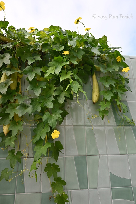 foliage power at houston botanic garden 31 houston botanic garden