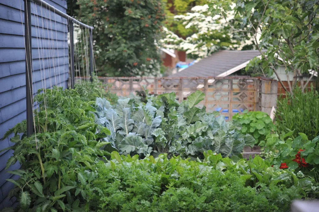 Top 3 tips for setting up your Freyr trellis