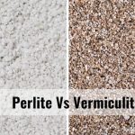 Which is Better for Your Garden The Garden Glove