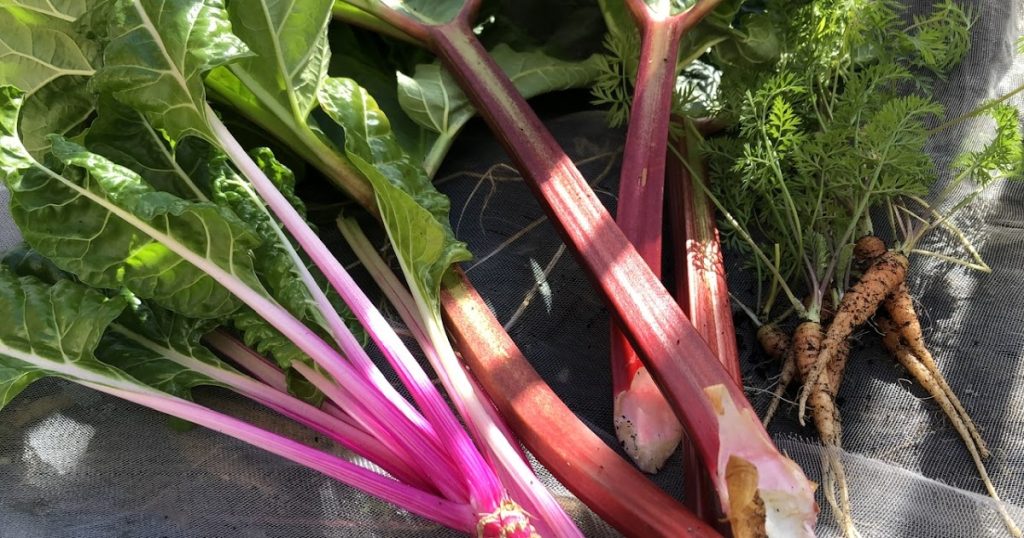 Goodbye Storm Moon Hello Worm Moon