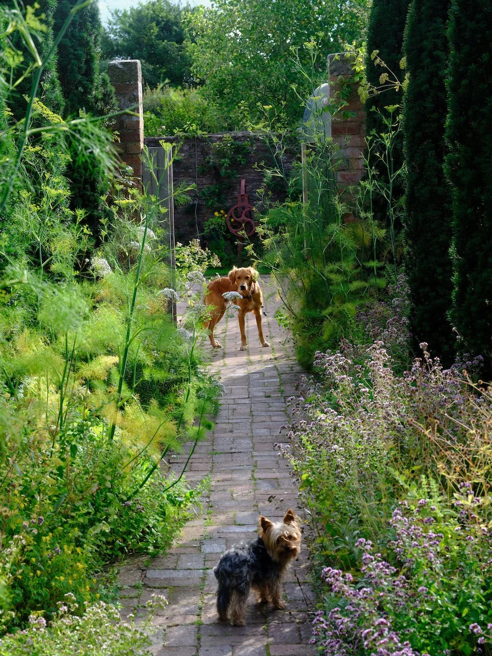 August 2023 Monty Don