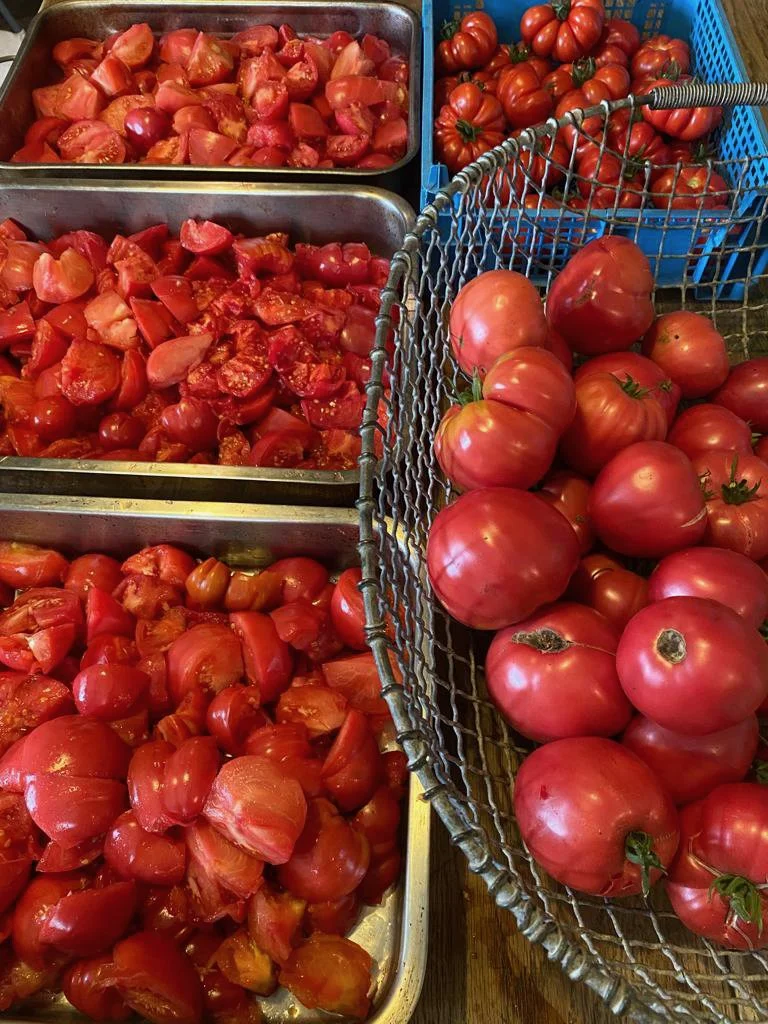 August 2024 Monty Don