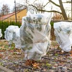 Winter Maintenance Tips for Your Backyard Garden