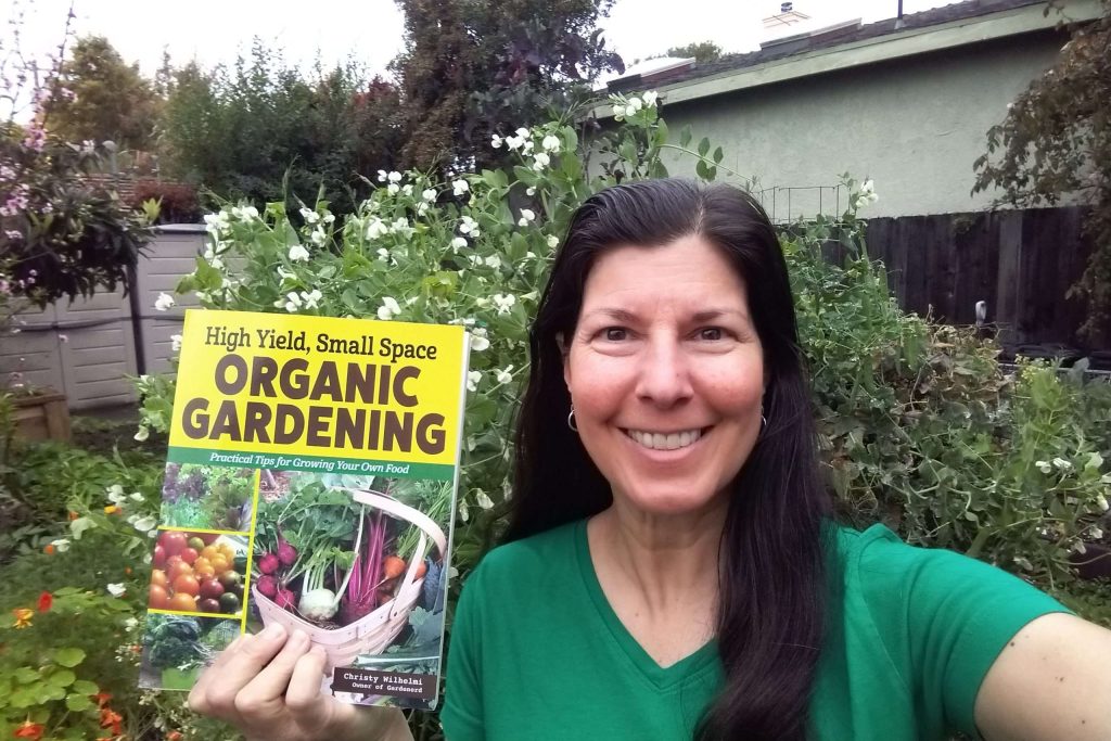 Youre Invited Book Launch Party this Weekend