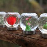 A Succulent Snow Globe Will be the Star of Your Collection