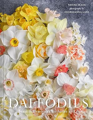Daffodils by Naomi Slade and Georgianna Lane