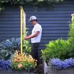 3 Reasons to Grow Vertically Plants People and Productivity