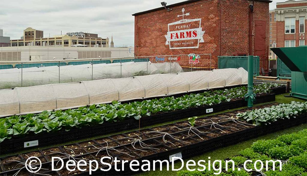 Irrigation is critical for container gardens