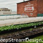 Irrigation is critical for container gardens