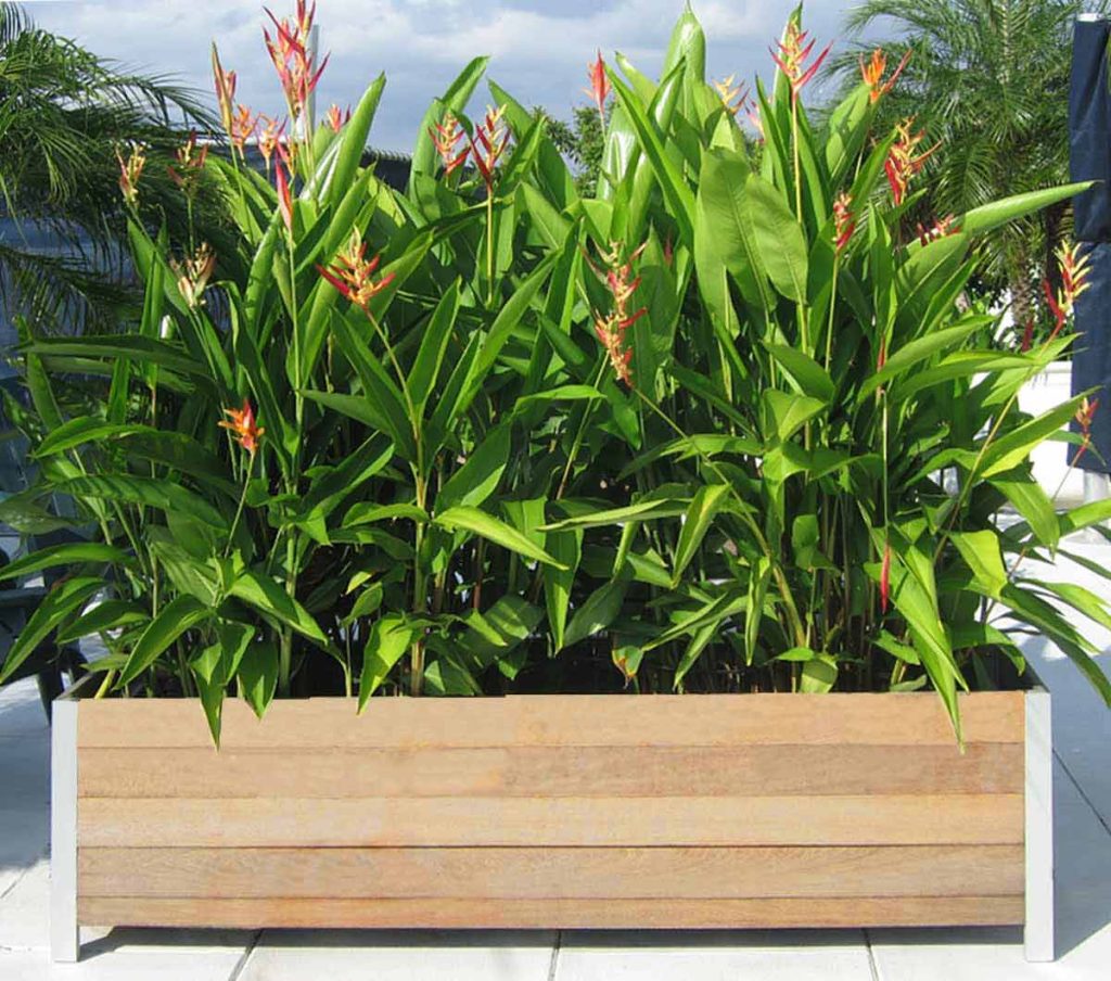 Spring Conditioning Planter Liners