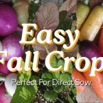YouTube: Easy Crops to Direct Sow This Fall