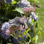 GPOD Vignettes: Summer and Fall Highlights