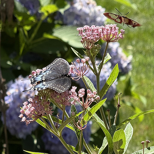 GPOD Vignettes: Summer and Fall Highlights