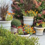 Rebecca’s Connecticut Garden in Fall