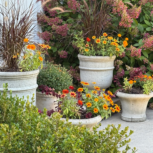 Rebecca’s Connecticut Garden in Fall