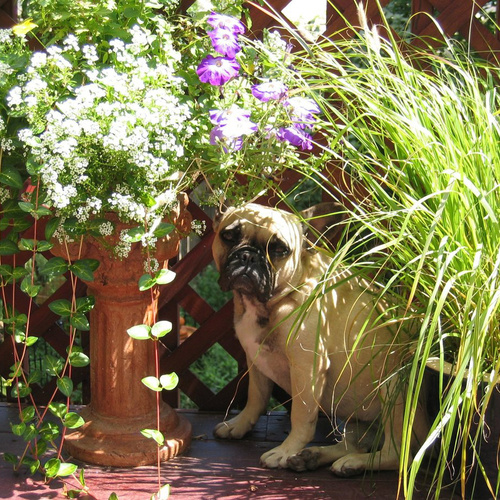 Leslie’s Colorful Containers in Colorado, Part 2