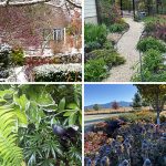 Thank You GPODers Fine Gardening