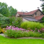 Alan’s Cleomes in Pennsylvania – Fine Gardening