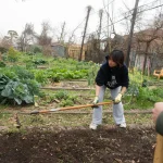 Urban farms can make cities more livable and help feed America