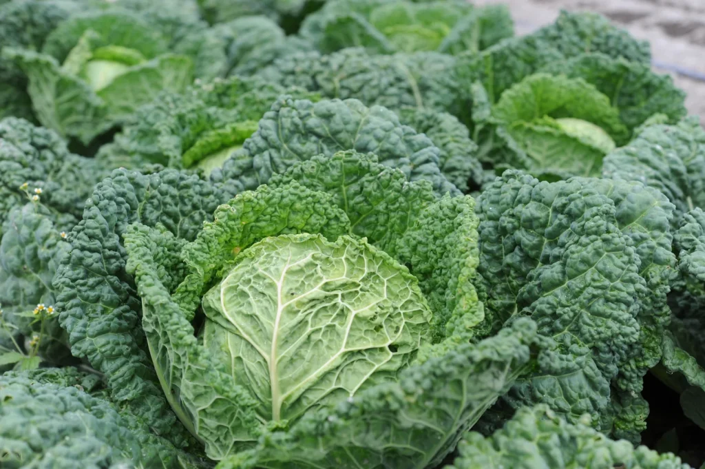 What to Use, When, and How