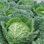 What to Use When and How