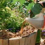 Nutrient Fertilizer for Transplants and Stressed Plants