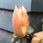 And sow it begins – an early March update