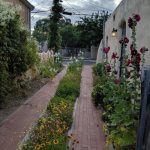 A Darling Little Driveway Garden in New Mexico