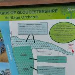 Eat your way to the river