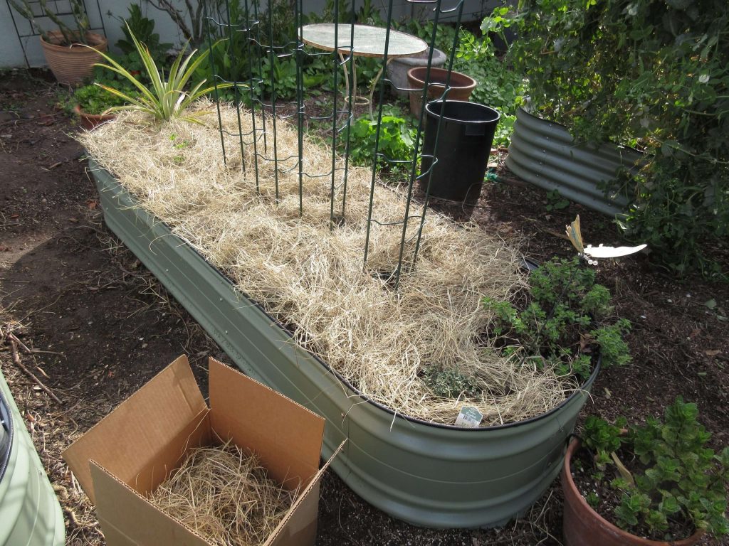 Give Away Salt Hay Mulch