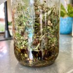 HOMEGROWN FERTILIZER: Fermented Plant Juice – Hope Gardens Hope Gardens HOMEGROWN FERTILIZER: Fermented Plant Juice – Hope Gardens