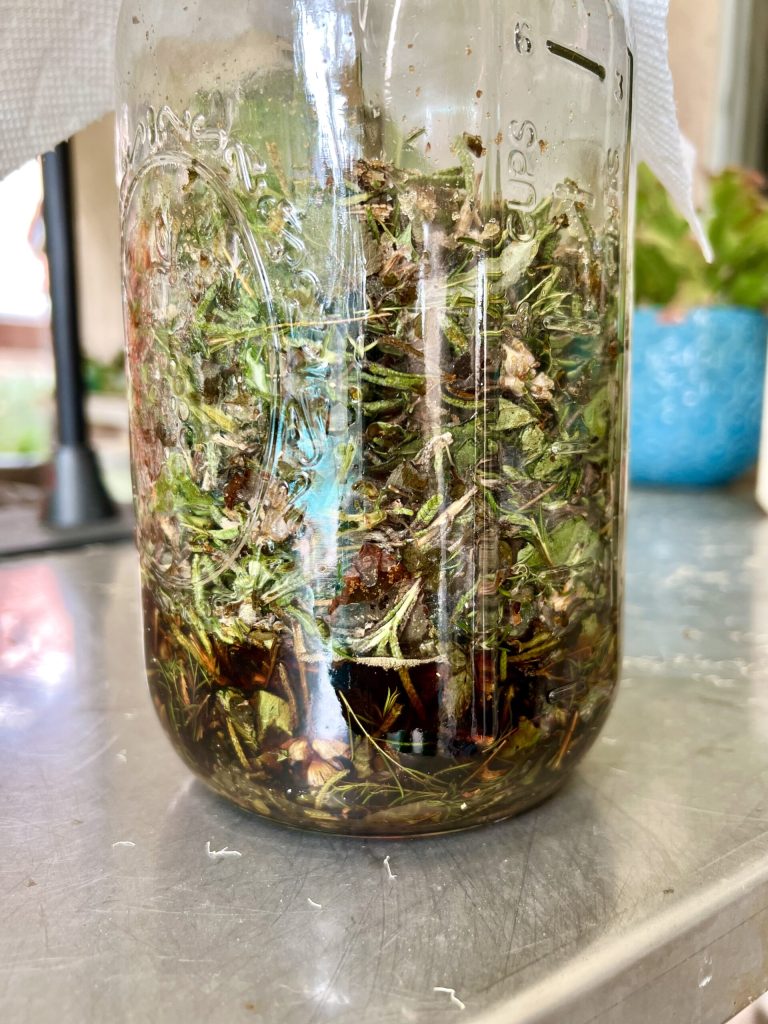 HOMEGROWN FERTILIZER: Fermented Plant Juice – Hope Gardens Hope Gardens HOMEGROWN FERTILIZER: Fermented Plant Juice – Hope Gardens