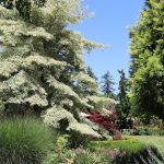 Puget Sound Garden Fling Froggsong Gardens