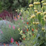 Early June at Chickadee Gardens