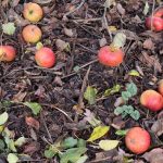 If at first you don't succeed