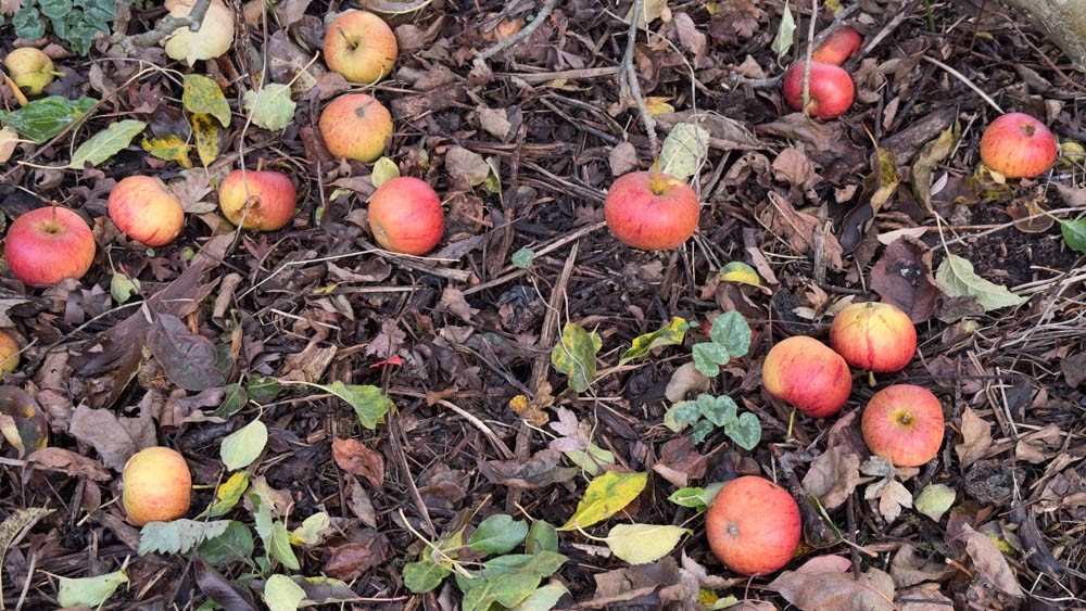 If at first you don't succeed