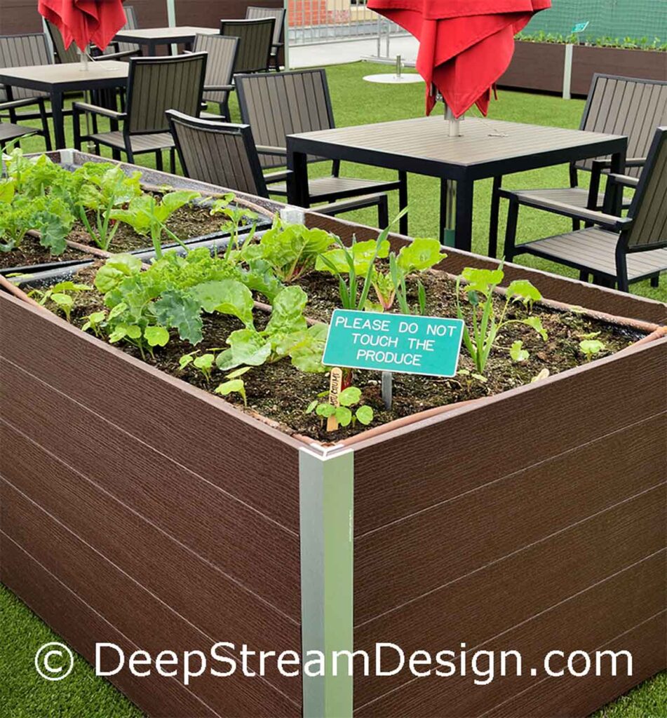 click for more info on deepstream commercial wood planter in recycled plastic lumber farm to table roof top garden containers