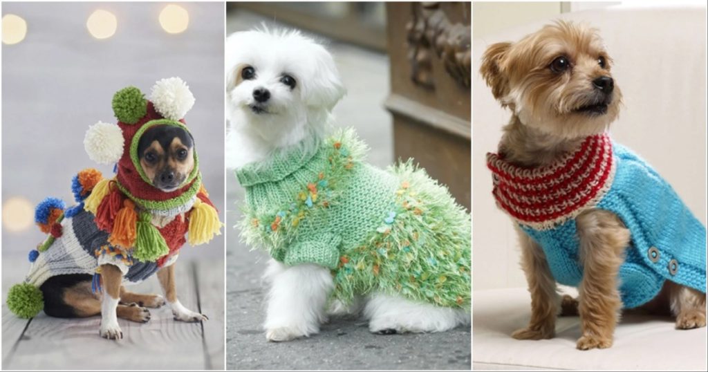 12 Dog Sweater Free Knitting Patterns Bright Stuffs