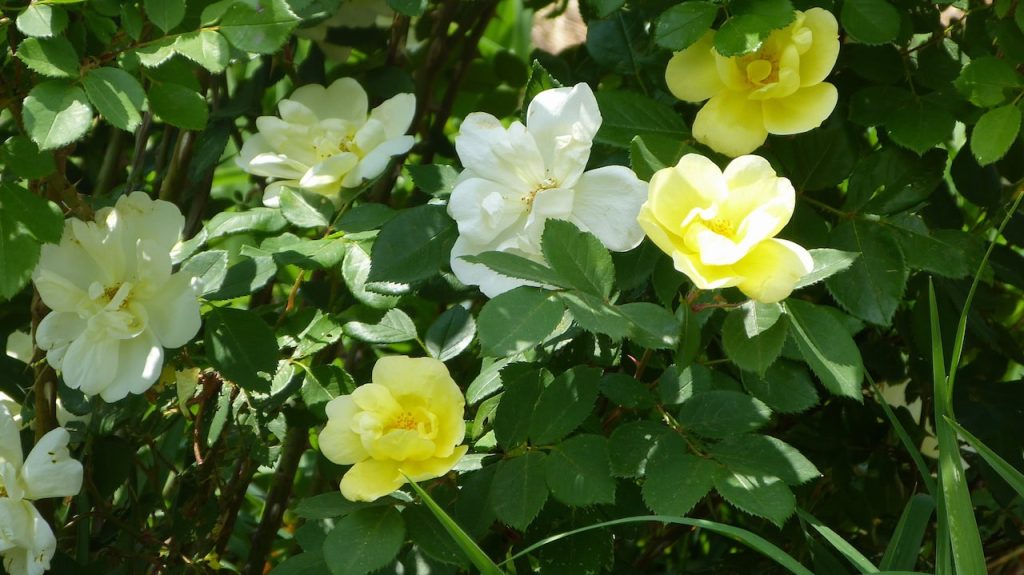 Something from April and what's ahead for May