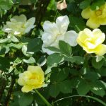 Something from April and whats ahead for May