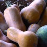 Focusing on the good, acknowledging the not-so-good – and 2 pictures