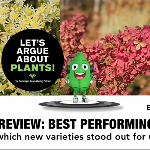 Episode 187 2025 Year in Review Best Performing Plants