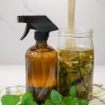 Make This Lemon Balm Scented DIY Cleaning Spray in Minutes