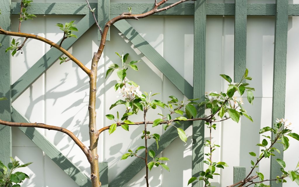 tucking in the garden for winter