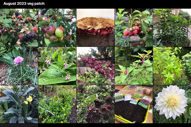 Mid August in the gardens