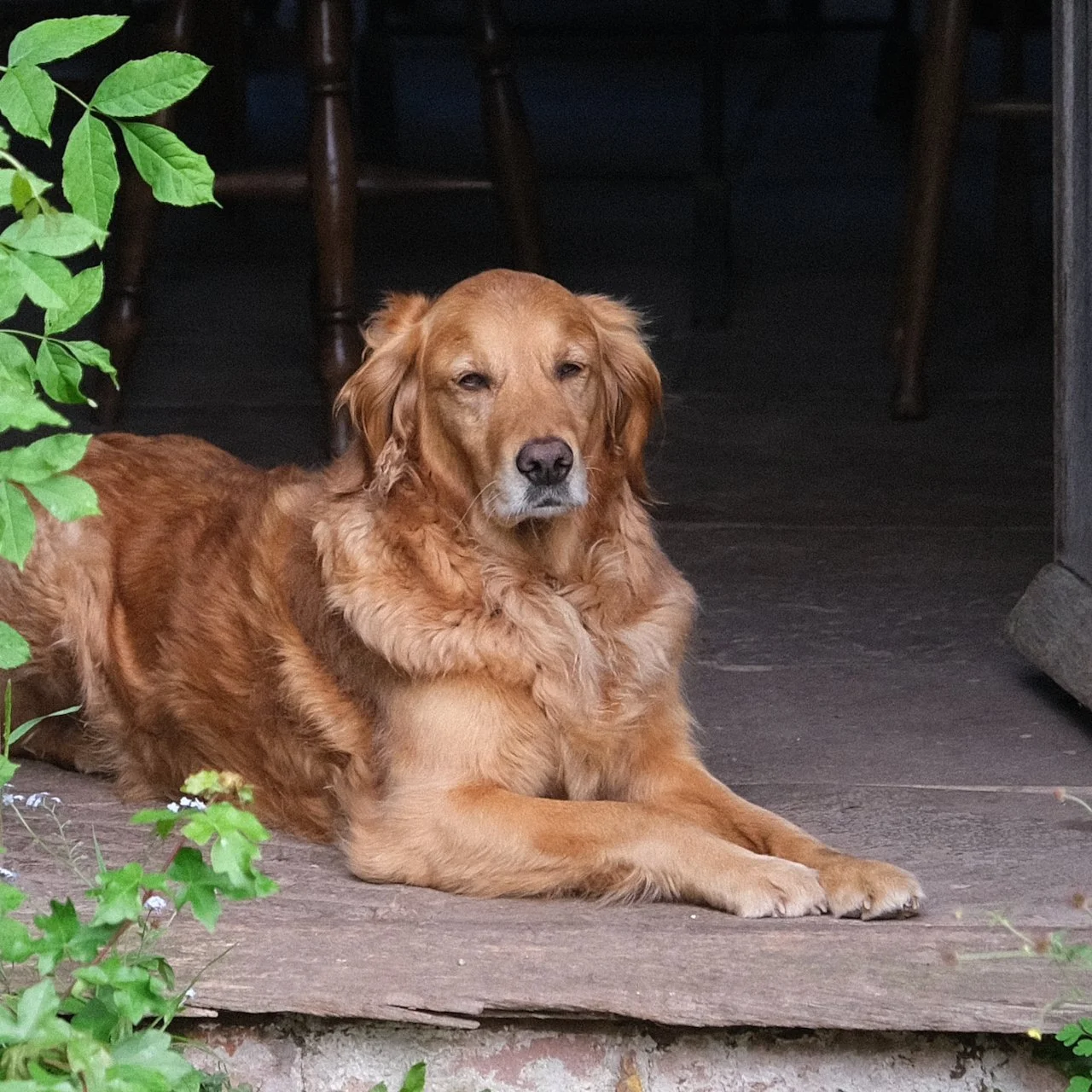 November 2023 Monty Don