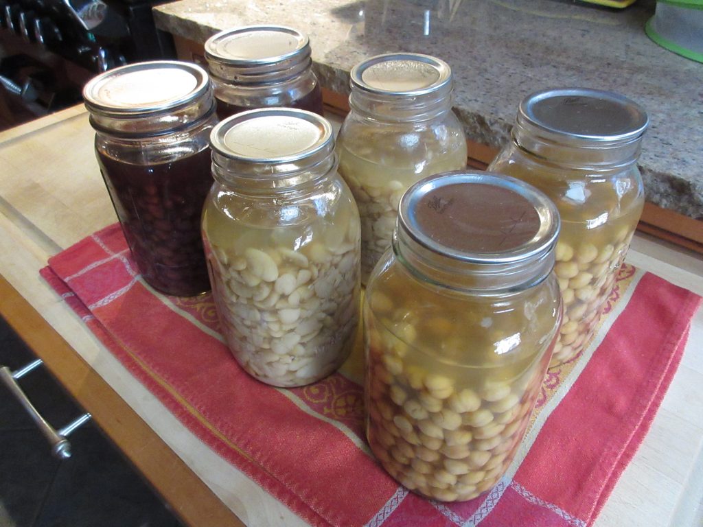 canning beans