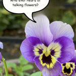 Overheard in a Flower Garden: Talking Flowers – Carol J. Michel