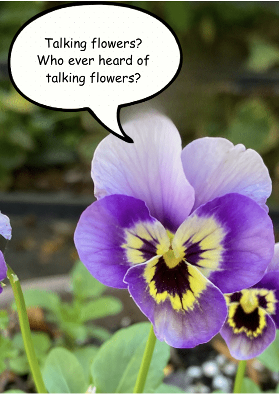 Overheard in a Flower Garden: Talking Flowers – Carol J. Michel