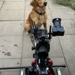 October 2024 — Monty Don